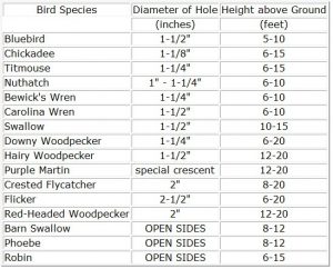 Free Easy DIY Wood Birdhouse Plans