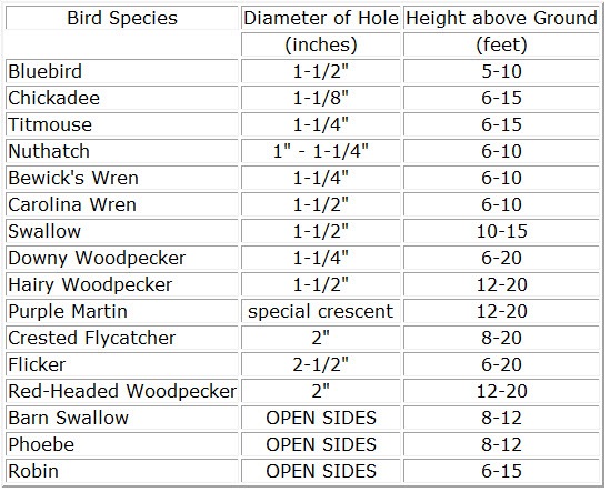 bluebird house hole size