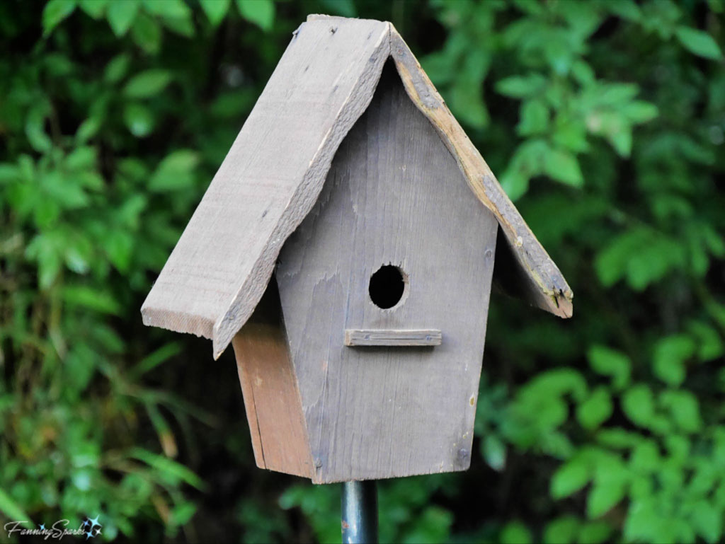 Free DIY Birdhouse Plans