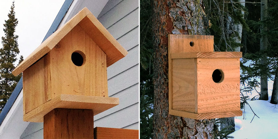 Free DIY Birdhouse Plans