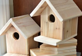 Free DIY Birdhouse Plans