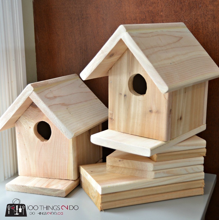 Beginner simple bird house plans