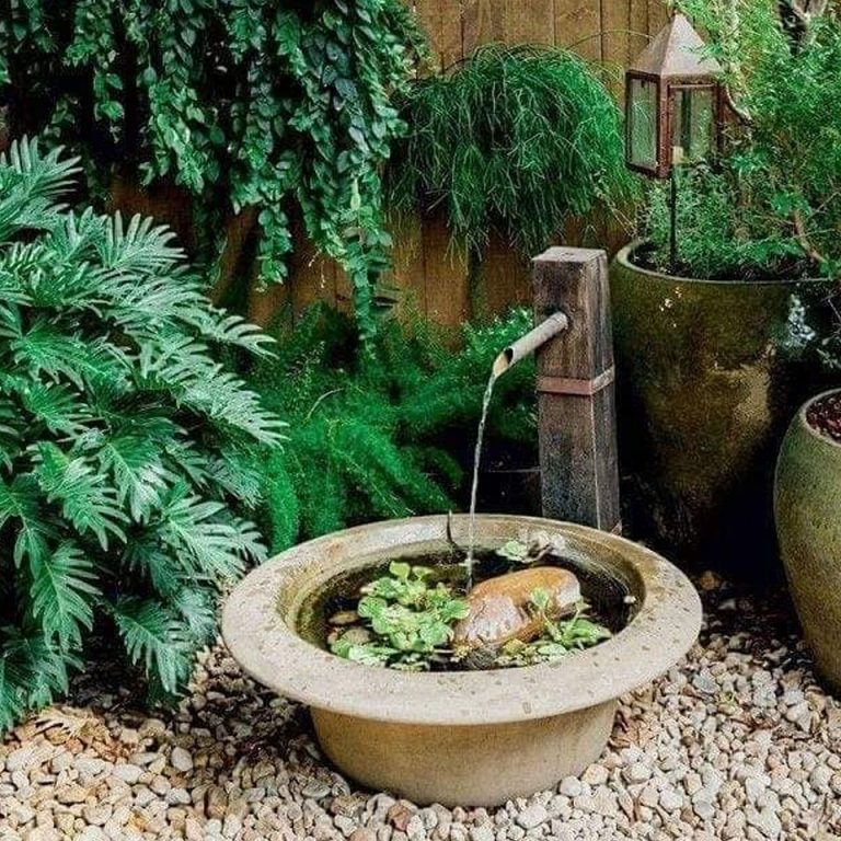 Low Maintenance Landscape Designs on a Budget