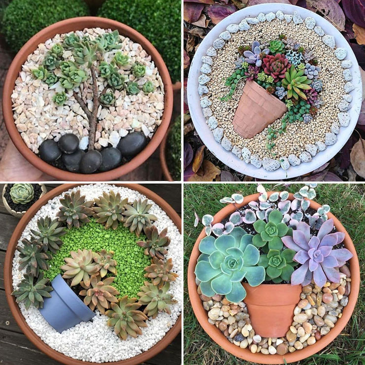 Terra Cotta Succulent Garden Art Pot Ideas