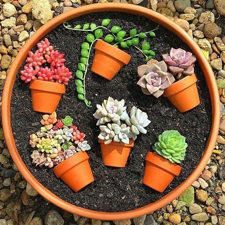 Terra Cotta Succulent Garden Art Pot Ideas