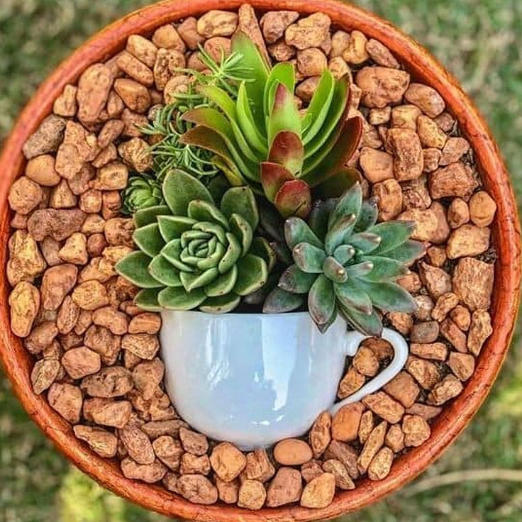 Terra Cotta Succulent Garden Art Pot Ideas